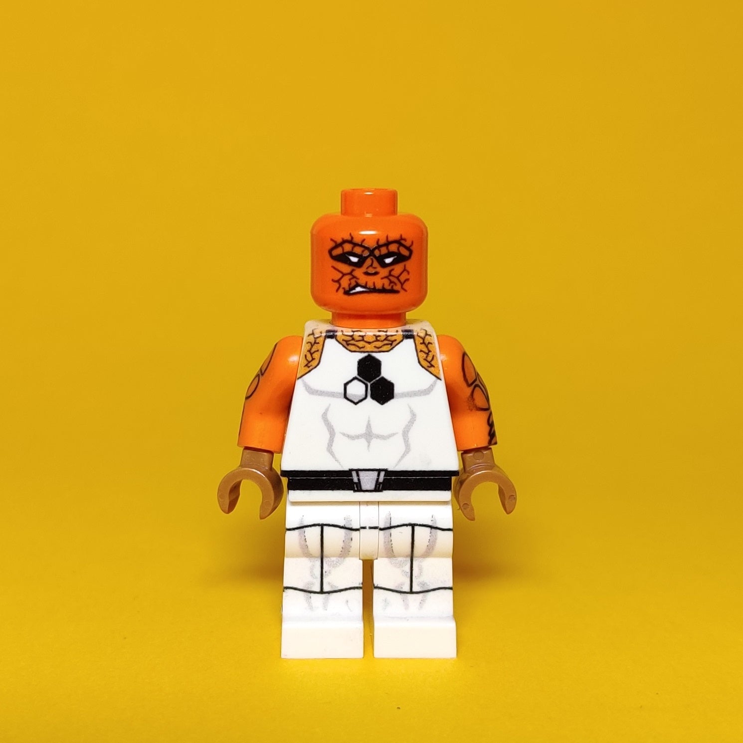 Exclusive lego minifigures